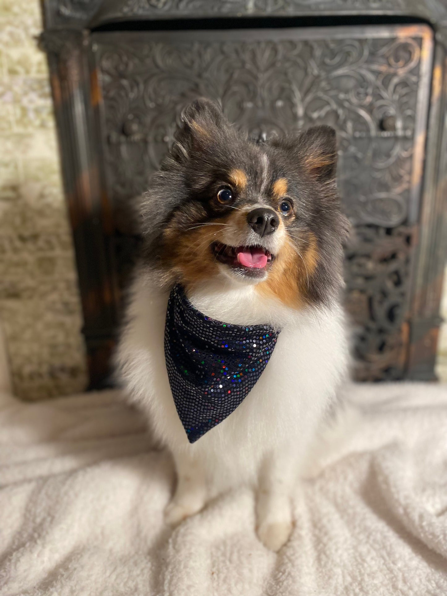 Dark Sparkle Bandana