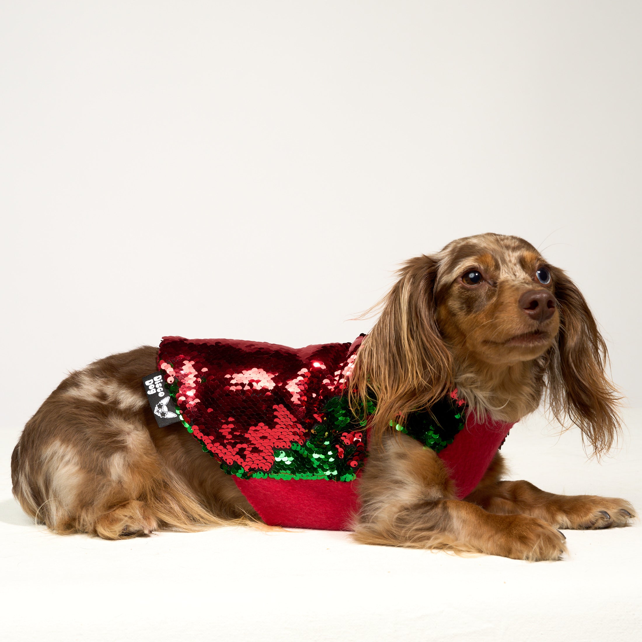 Dog Coat | Reverse Sequin Sparkle Holiday – Disco Dog