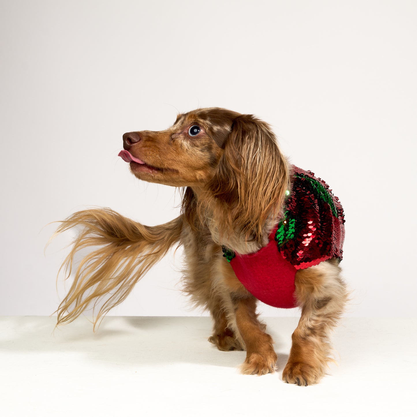 Flip Sequin Holiday Coat