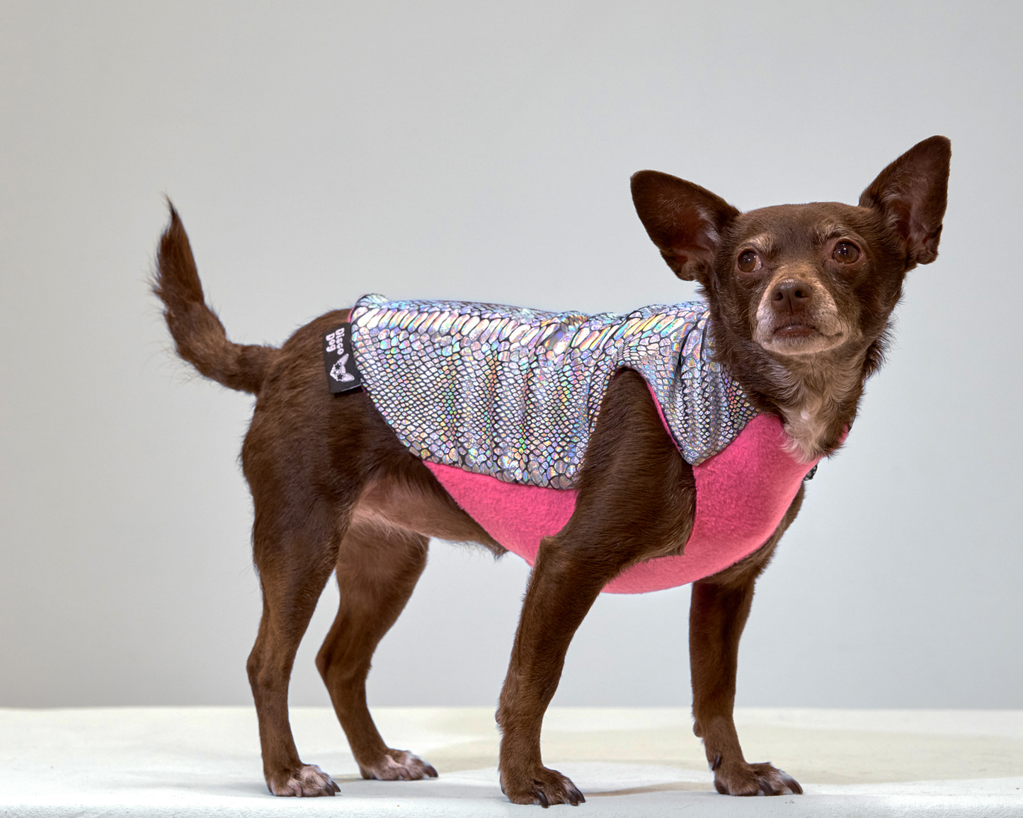 Unicorn Glimmer Coat