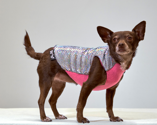 Unicorn Glimmer Coat