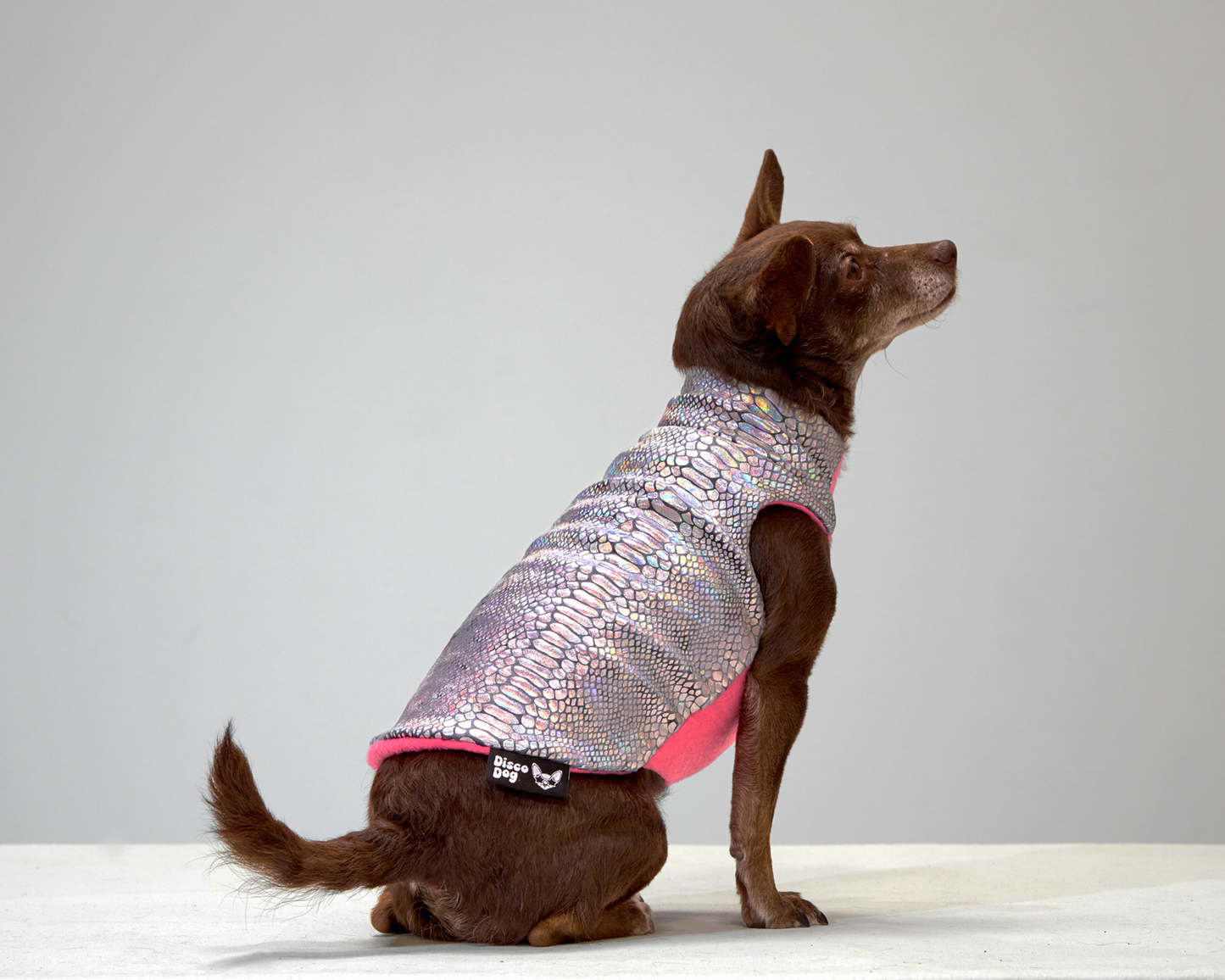 Unicorn Glimmer Coat