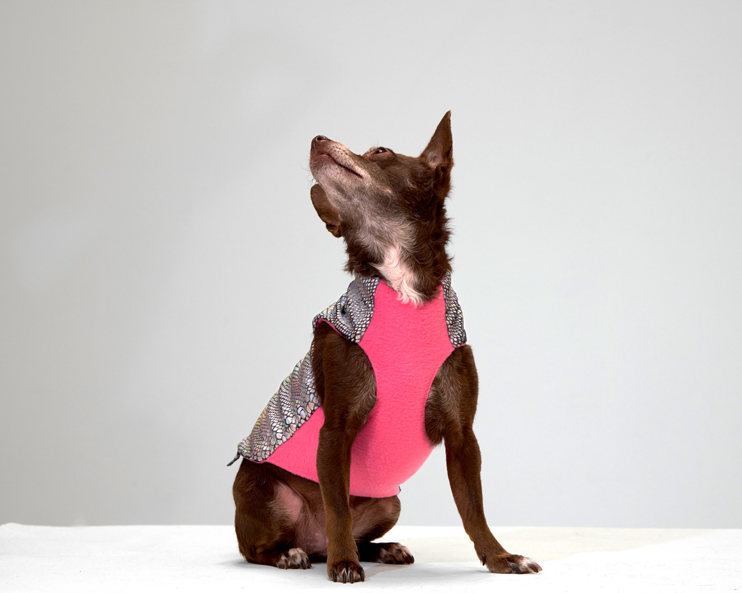 Unicorn Glimmer Coat