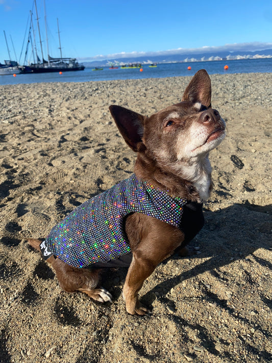 Summer Disco Shirt