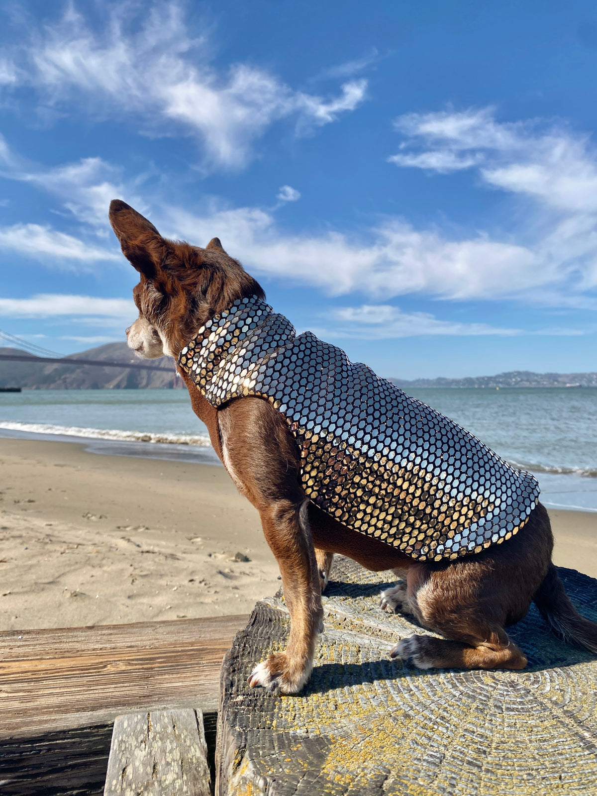 Gold Rush Coat - Predator Repellant