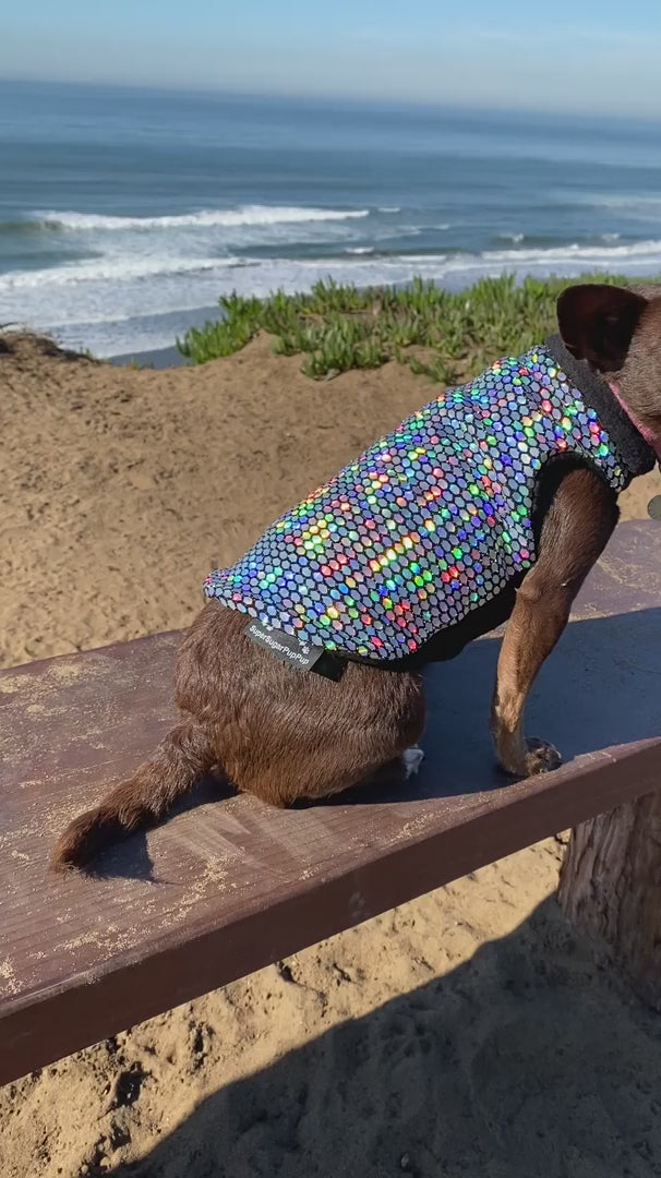 Dog Coat | Disco Holographic Jacket - Predator Repellant – Disco Dog